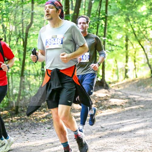 28.09.2025 - 33. Volkslauf durch das schöne Alstertal Dr. Thomas Lammeyer http://msf.ph/oto/8961996 28.09.2025 11:09:19 Laufen 945, 3946, 40 meine-sportfotos.de