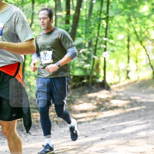 28.09.2025 - 33. Volkslauf durch das schöne Alstertal Dr. Thomas Lammeyer http://msf.ph/oto/8961999 28.09.2025 11:09:19 Laufen 3946, 3140 meine-sportfotos.de