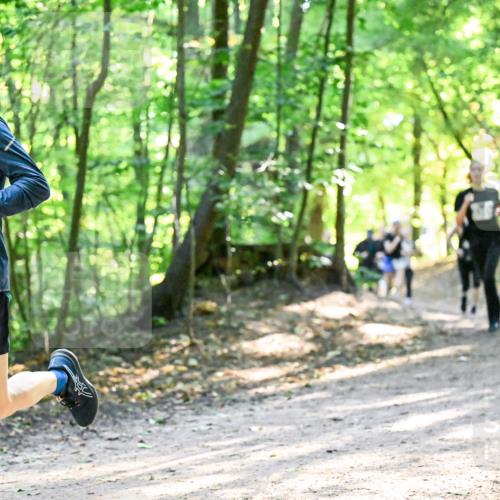 28.09.2025 - 33. Volkslauf durch das schöne Alstertal Dr. Thomas Lammeyer http://msf.ph/oto/8962016 28.09.2025 11:09:31 Laufen 3033 meine-sportfotos.de