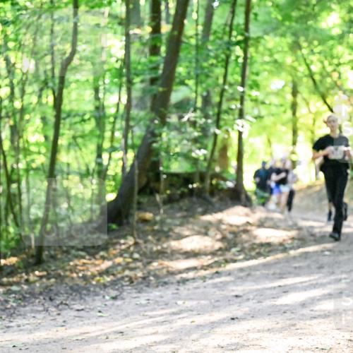 28.09.2025 - 33. Volkslauf durch das schöne Alstertal Dr. Thomas Lammeyer http://msf.ph/oto/8962017 28.09.2025 11:09:31 Laufen  meine-sportfotos.de