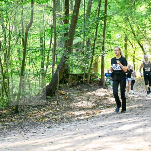 28.09.2025 - 33. Volkslauf durch das schöne Alstertal Dr. Thomas Lammeyer http://msf.ph/oto/8962019 28.09.2025 11:09:32 Laufen 3345, 2321, 3344 meine-sportfotos.de