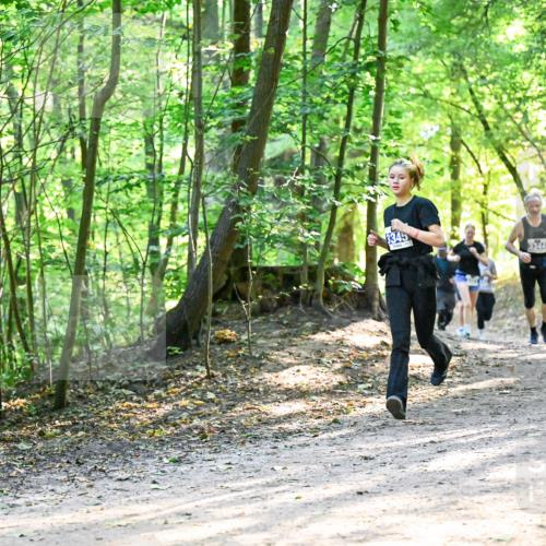 28.09.2025 - 33. Volkslauf durch das schöne Alstertal Dr. Thomas Lammeyer http://msf.ph/oto/8962020 28.09.2025 11:09:32 Laufen 3345, 3344 meine-sportfotos.de