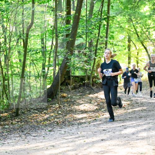 28.09.2025 - 33. Volkslauf durch das schöne Alstertal Dr. Thomas Lammeyer http://msf.ph/oto/8962021 28.09.2025 11:09:33 Laufen 3345 meine-sportfotos.de