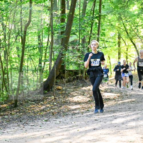 28.09.2025 - 33. Volkslauf durch das schöne Alstertal Dr. Thomas Lammeyer http://msf.ph/oto/8962023 28.09.2025 11:09:33 Laufen 3345, 3344 meine-sportfotos.de