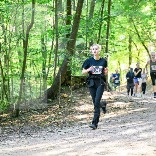 28.09.2025 - 33. Volkslauf durch das schöne Alstertal Dr. Thomas Lammeyer http://msf.ph/oto/8962024 28.09.2025 11:09:33 Laufen 3345, 3344 meine-sportfotos.de