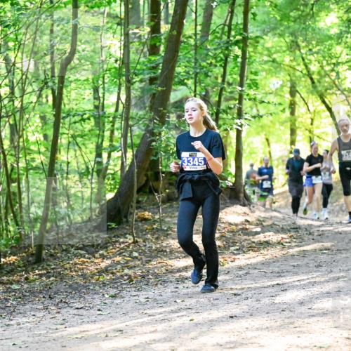 28.09.2025 - 33. Volkslauf durch das schöne Alstertal Dr. Thomas Lammeyer http://msf.ph/oto/8962025 28.09.2025 11:09:33 Laufen 3345 meine-sportfotos.de