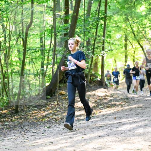 28.09.2025 - 33. Volkslauf durch das schöne Alstertal Dr. Thomas Lammeyer http://msf.ph/oto/8962026 28.09.2025 11:09:33 Laufen 3345 meine-sportfotos.de