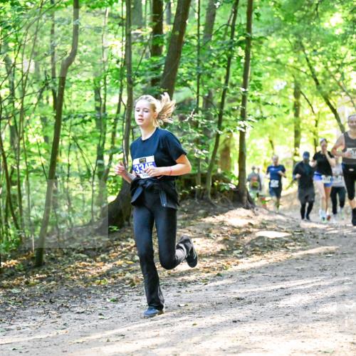 28.09.2025 - 33. Volkslauf durch das schöne Alstertal Dr. Thomas Lammeyer http://msf.ph/oto/8962027 28.09.2025 11:09:33 Laufen  meine-sportfotos.de