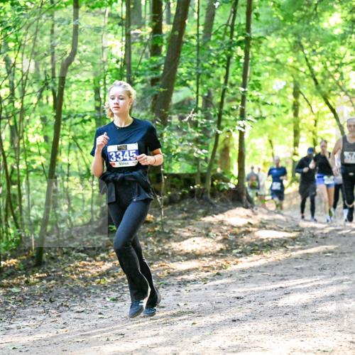 28.09.2025 - 33. Volkslauf durch das schöne Alstertal Dr. Thomas Lammeyer http://msf.ph/oto/8962028 28.09.2025 11:09:33 Laufen 3345 meine-sportfotos.de