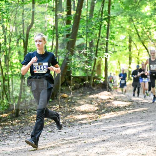 28.09.2025 - 33. Volkslauf durch das schöne Alstertal Dr. Thomas Lammeyer http://msf.ph/oto/8962030 28.09.2025 11:09:33 Laufen 3345 meine-sportfotos.de