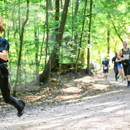 28.09.2025 - 33. Volkslauf durch das schöne Alstertal Dr. Thomas Lammeyer http://msf.ph/oto/8962032 28.09.2025 11:09:34 Laufen 3345 meine-sportfotos.de