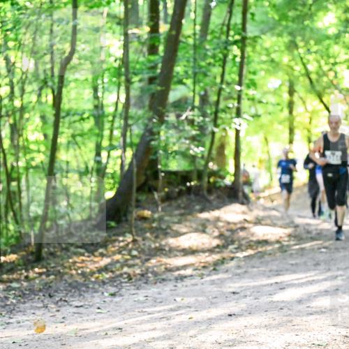 28.09.2025 - 33. Volkslauf durch das schöne Alstertal Dr. Thomas Lammeyer http://msf.ph/oto/8962033 28.09.2025 11:09:34 Laufen 345 meine-sportfotos.de