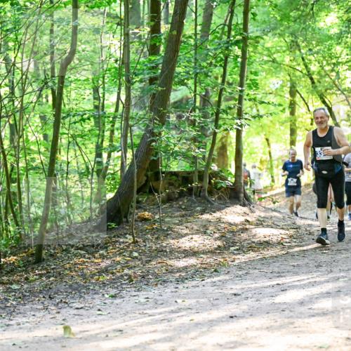 28.09.2025 - 33. Volkslauf durch das schöne Alstertal Dr. Thomas Lammeyer http://msf.ph/oto/8962035 28.09.2025 11:09:34 Laufen  meine-sportfotos.de