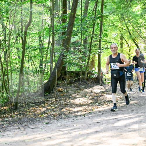 28.09.2025 - 33. Volkslauf durch das schöne Alstertal Dr. Thomas Lammeyer http://msf.ph/oto/8962038 28.09.2025 11:09:35 Laufen 334, 3357, 3321, 13142, 954 meine-sportfotos.de