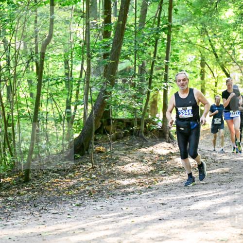 28.09.2025 - 33. Volkslauf durch das schöne Alstertal Dr. Thomas Lammeyer http://msf.ph/oto/8962039 28.09.2025 11:09:35 Laufen 3344, 3321, 3142 meine-sportfotos.de