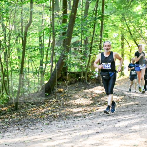 28.09.2025 - 33. Volkslauf durch das schöne Alstertal Dr. Thomas Lammeyer http://msf.ph/oto/8962041 28.09.2025 11:09:35 Laufen 3344, 372 meine-sportfotos.de