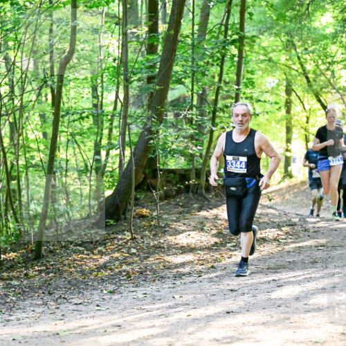 28.09.2025 - 33. Volkslauf durch das schöne Alstertal Dr. Thomas Lammeyer http://msf.ph/oto/8962042 28.09.2025 11:09:35 Laufen 3344, 3321, 3142 meine-sportfotos.de