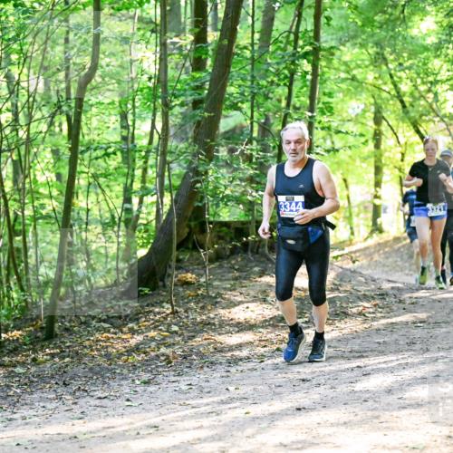 28.09.2025 - 33. Volkslauf durch das schöne Alstertal Dr. Thomas Lammeyer http://msf.ph/oto/8962043 28.09.2025 11:09:35 Laufen 3344, 3321 meine-sportfotos.de