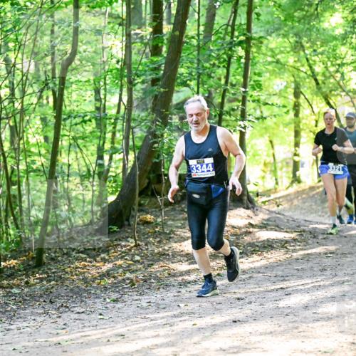 28.09.2025 - 33. Volkslauf durch das schöne Alstertal Dr. Thomas Lammeyer http://msf.ph/oto/8962045 28.09.2025 11:09:36 Laufen 3344, 3321, 342 meine-sportfotos.de