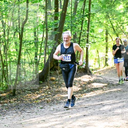 28.09.2025 - 33. Volkslauf durch das schöne Alstertal Dr. Thomas Lammeyer http://msf.ph/oto/8962046 28.09.2025 11:09:36 Laufen 3344 meine-sportfotos.de