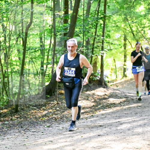 28.09.2025 - 33. Volkslauf durch das schöne Alstertal Dr. Thomas Lammeyer http://msf.ph/oto/8962048 28.09.2025 11:09:36 Laufen 3344 meine-sportfotos.de