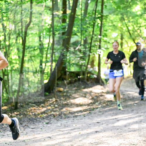 28.09.2025 - 33. Volkslauf durch das schöne Alstertal Dr. Thomas Lammeyer http://msf.ph/oto/8962056 28.09.2025 11:09:37 Laufen 3344 meine-sportfotos.de