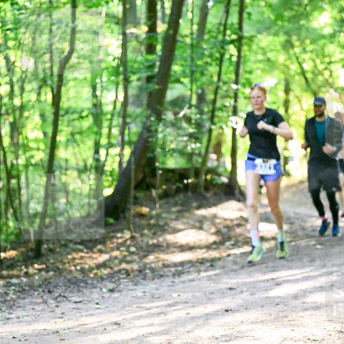 28.09.2025 - 33. Volkslauf durch das schöne Alstertal Dr. Thomas Lammeyer http://msf.ph/oto/8962057 28.09.2025 11:09:37 Laufen  meine-sportfotos.de