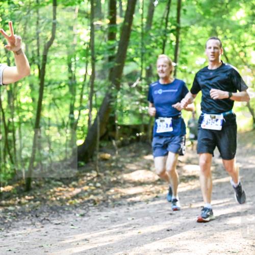 28.09.2025 - 33. Volkslauf durch das schöne Alstertal Dr. Thomas Lammeyer http://msf.ph/oto/8962075 28.09.2025 11:09:40 Laufen 3142 meine-sportfotos.de