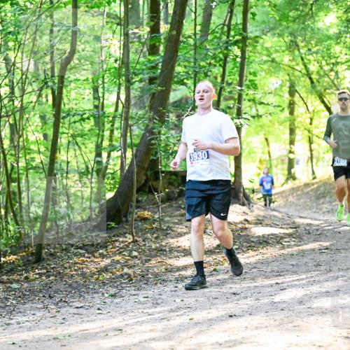 28.09.2025 - 33. Volkslauf durch das schöne Alstertal Dr. Thomas Lammeyer http://msf.ph/oto/8962084 28.09.2025 11:09:45 Laufen 3930, 1100 meine-sportfotos.de