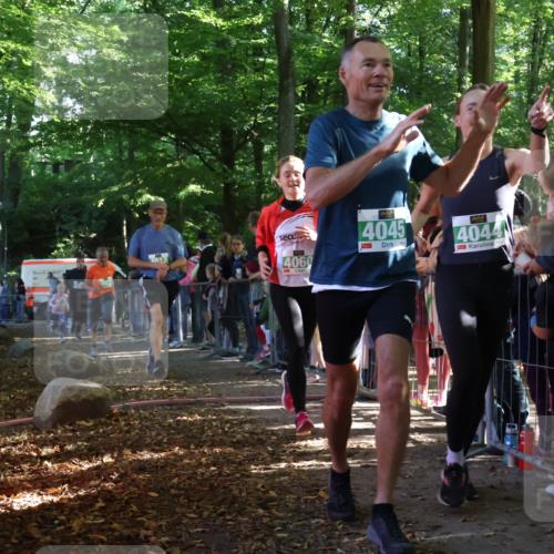 28.09.2025 - 33. Volkslauf durch das schöne Alstertal Strokosch-Dieckow http://msf.ph/oto/8962088 28.09.2025 10:57:11 Ziel 4012, 4032, 4044, 4045, 4060, 4130, 4160 meine-sportfotos.de