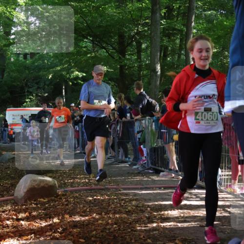 28.09.2025 - 33. Volkslauf durch das schöne Alstertal Strokosch-Dieckow http://msf.ph/oto/8962096 28.09.2025 10:57:11 Ziel 4012, 4032, 4044, 4045, 4060, 4130, 4160 meine-sportfotos.de