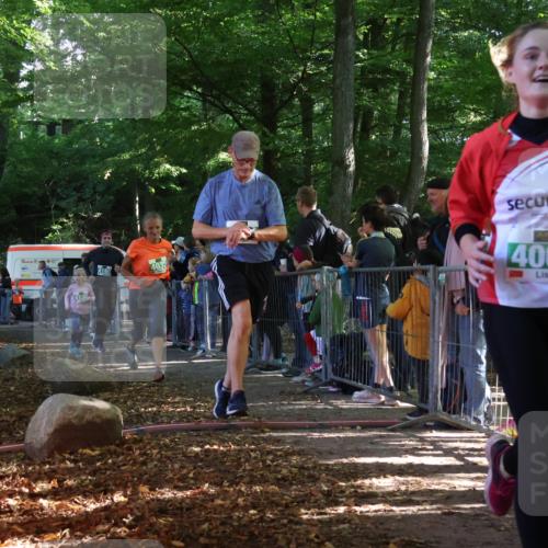 28.09.2025 - 33. Volkslauf durch das schöne Alstertal Strokosch-Dieckow http://msf.ph/oto/8962103 28.09.2025 10:57:12 Ziel 4012, 4032, 4060, 4130, 4160 meine-sportfotos.de