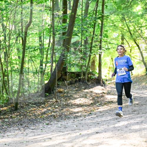 28.09.2025 - 33. Volkslauf durch das schöne Alstertal Dr. Thomas Lammeyer http://msf.ph/oto/8962106 28.09.2025 11:09:53 Laufen 3275 meine-sportfotos.de