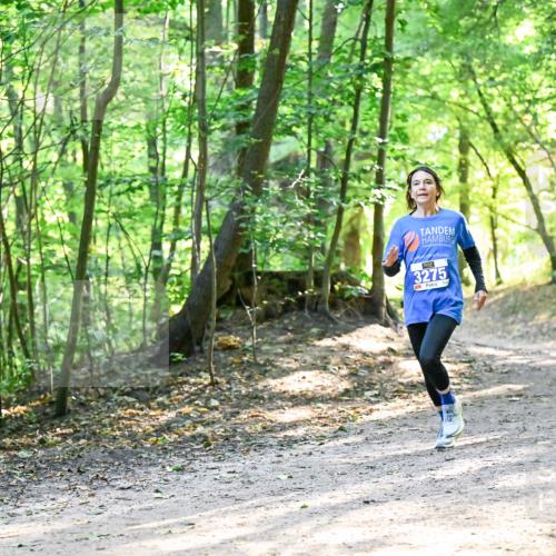 28.09.2025 - 33. Volkslauf durch das schöne Alstertal Dr. Thomas Lammeyer http://msf.ph/oto/8962107 28.09.2025 11:09:53 Laufen 3275 meine-sportfotos.de