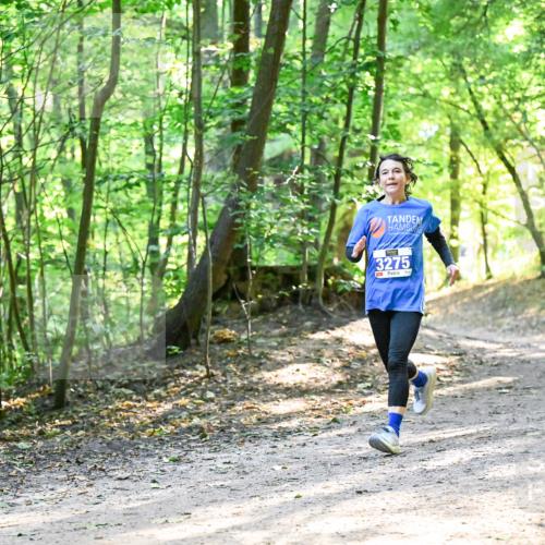 28.09.2025 - 33. Volkslauf durch das schöne Alstertal Dr. Thomas Lammeyer http://msf.ph/oto/8962108 28.09.2025 11:09:53 Laufen 3275 meine-sportfotos.de