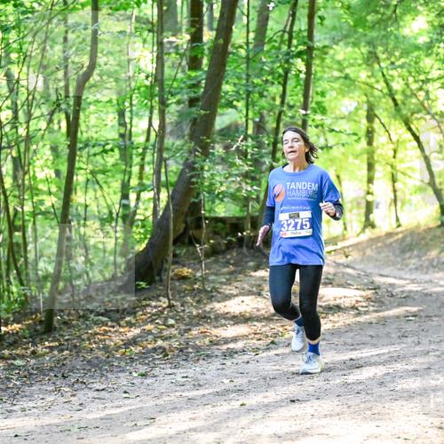 28.09.2025 - 33. Volkslauf durch das schöne Alstertal Dr. Thomas Lammeyer http://msf.ph/oto/8962110 28.09.2025 11:09:53 Laufen 3275 meine-sportfotos.de
