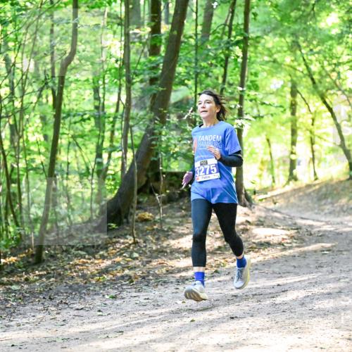 28.09.2025 - 33. Volkslauf durch das schöne Alstertal Dr. Thomas Lammeyer http://msf.ph/oto/8962111 28.09.2025 11:09:53 Laufen 3275 meine-sportfotos.de