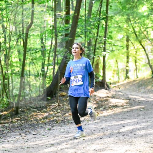 28.09.2025 - 33. Volkslauf durch das schöne Alstertal Dr. Thomas Lammeyer http://msf.ph/oto/8962112 28.09.2025 11:09:54 Laufen 3275 meine-sportfotos.de