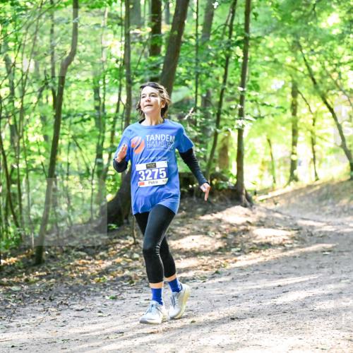 28.09.2025 - 33. Volkslauf durch das schöne Alstertal Dr. Thomas Lammeyer http://msf.ph/oto/8962113 28.09.2025 11:09:54 Laufen 3275 meine-sportfotos.de