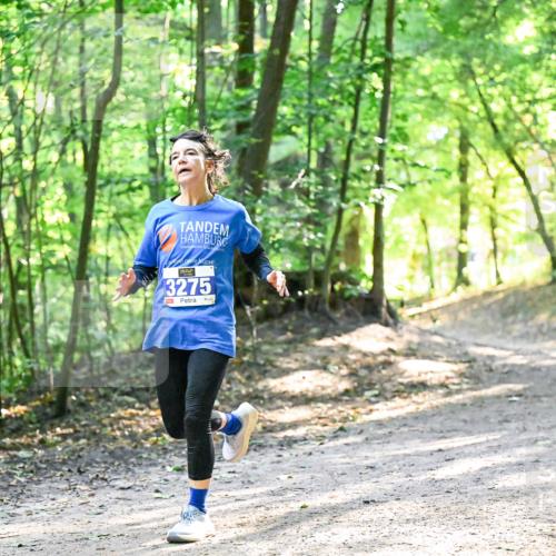 28.09.2025 - 33. Volkslauf durch das schöne Alstertal Dr. Thomas Lammeyer http://msf.ph/oto/8962114 28.09.2025 11:09:54 Laufen 3275 meine-sportfotos.de