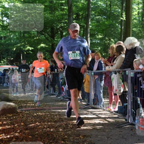 28.09.2025 - 33. Volkslauf durch das schöne Alstertal Strokosch-Dieckow http://msf.ph/oto/8962115 28.09.2025 10:57:13 Ziel 4012, 4032, 4130, 4160 meine-sportfotos.de