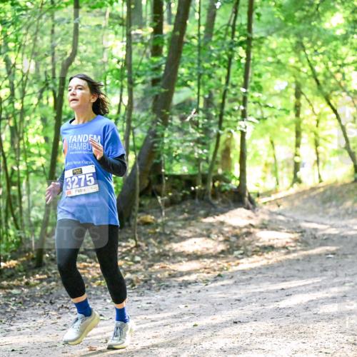 28.09.2025 - 33. Volkslauf durch das schöne Alstertal Dr. Thomas Lammeyer http://msf.ph/oto/8962116 28.09.2025 11:09:54 Laufen 3275 meine-sportfotos.de