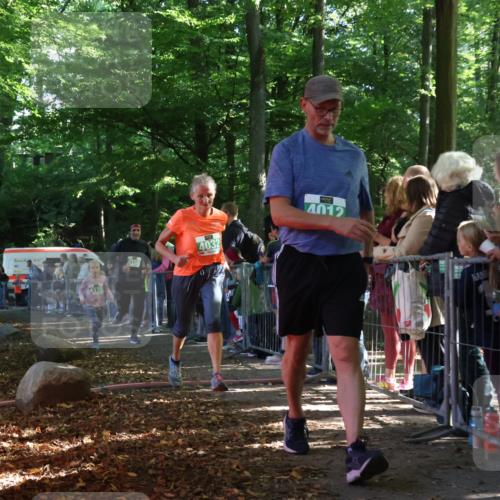 28.09.2025 - 33. Volkslauf durch das schöne Alstertal Strokosch-Dieckow http://msf.ph/oto/8962118 28.09.2025 10:57:13 Ziel 4012, 4032, 4130, 4160 meine-sportfotos.de