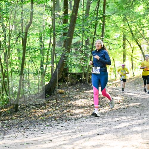 28.09.2025 - 33. Volkslauf durch das schöne Alstertal Dr. Thomas Lammeyer http://msf.ph/oto/8962121 28.09.2025 11:10:05 Laufen 3355 meine-sportfotos.de