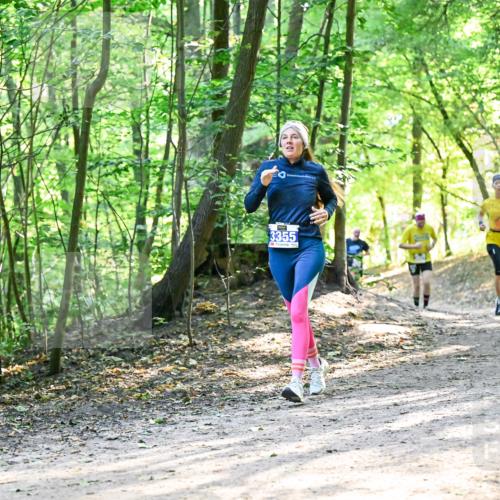 28.09.2025 - 33. Volkslauf durch das schöne Alstertal Dr. Thomas Lammeyer http://msf.ph/oto/8962123 28.09.2025 11:10:06 Laufen 3355 meine-sportfotos.de