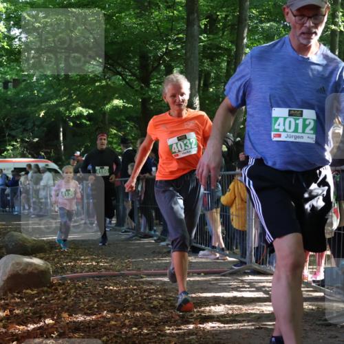 28.09.2025 - 33. Volkslauf durch das schöne Alstertal Strokosch-Dieckow http://msf.ph/oto/8962124 28.09.2025 10:57:13 Ziel 4012, 4032, 4130, 4160 meine-sportfotos.de