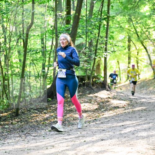 28.09.2025 - 33. Volkslauf durch das schöne Alstertal Dr. Thomas Lammeyer http://msf.ph/oto/8962127 28.09.2025 11:10:06 Laufen 3355 meine-sportfotos.de