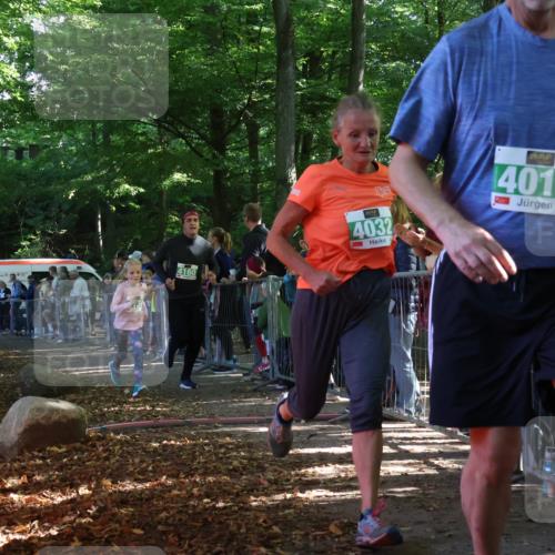 28.09.2025 - 33. Volkslauf durch das schöne Alstertal Strokosch-Dieckow http://msf.ph/oto/8962131 28.09.2025 10:57:14 Ziel 4032, 4130, 4160 meine-sportfotos.de
