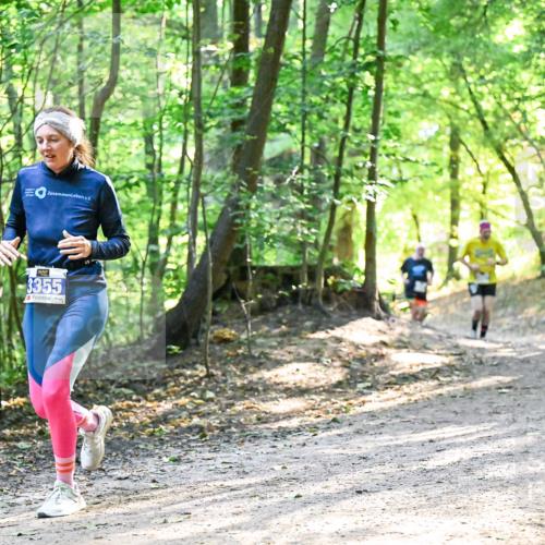 28.09.2025 - 33. Volkslauf durch das schöne Alstertal Dr. Thomas Lammeyer http://msf.ph/oto/8962132 28.09.2025 11:10:07 Laufen 3355 meine-sportfotos.de