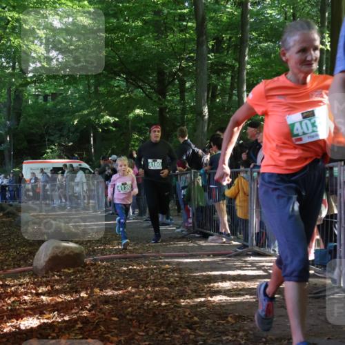 28.09.2025 - 33. Volkslauf durch das schöne Alstertal Strokosch-Dieckow http://msf.ph/oto/8962138 28.09.2025 10:57:14 Ziel 4032, 4130, 4160 meine-sportfotos.de